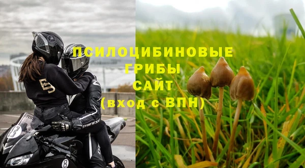 СК Козловка