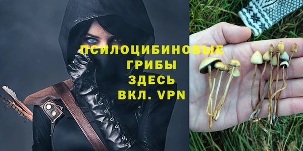мяу мяу мука Козельск
