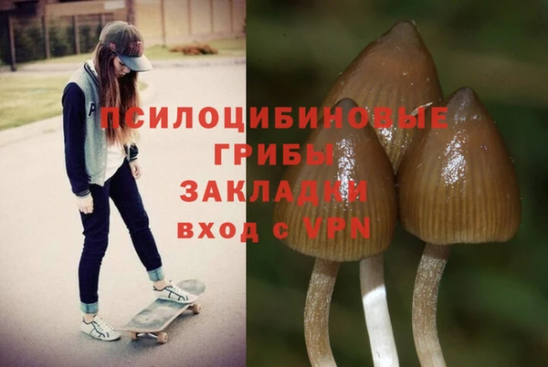 таблы Кодинск